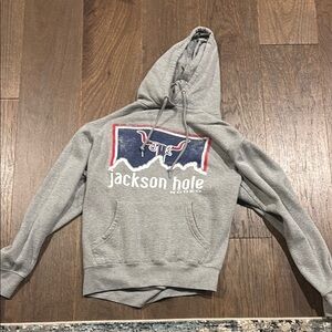 Blue 84 Gray Pullover Hoodie with Jackson Hole Graphic